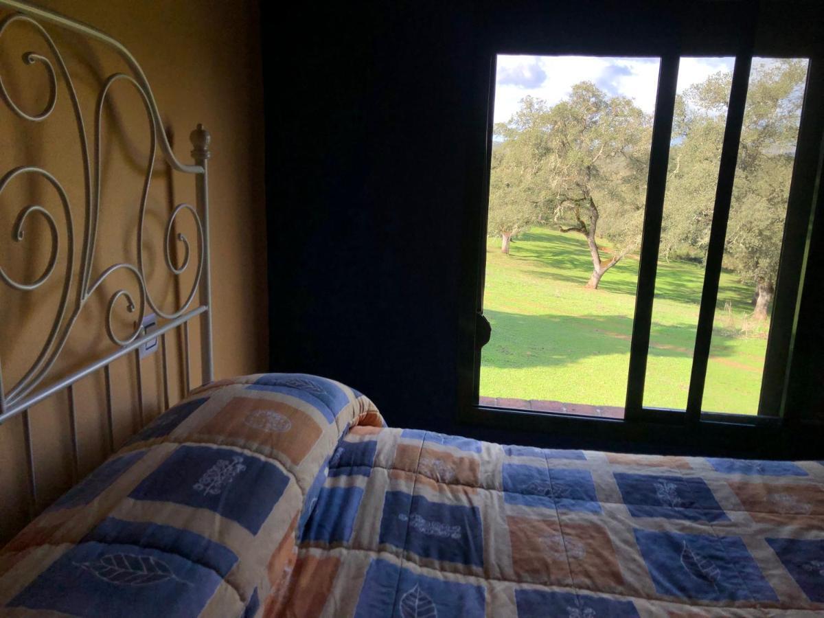 Casa Rural Monterrey ארוצ'י מראה חיצוני תמונה